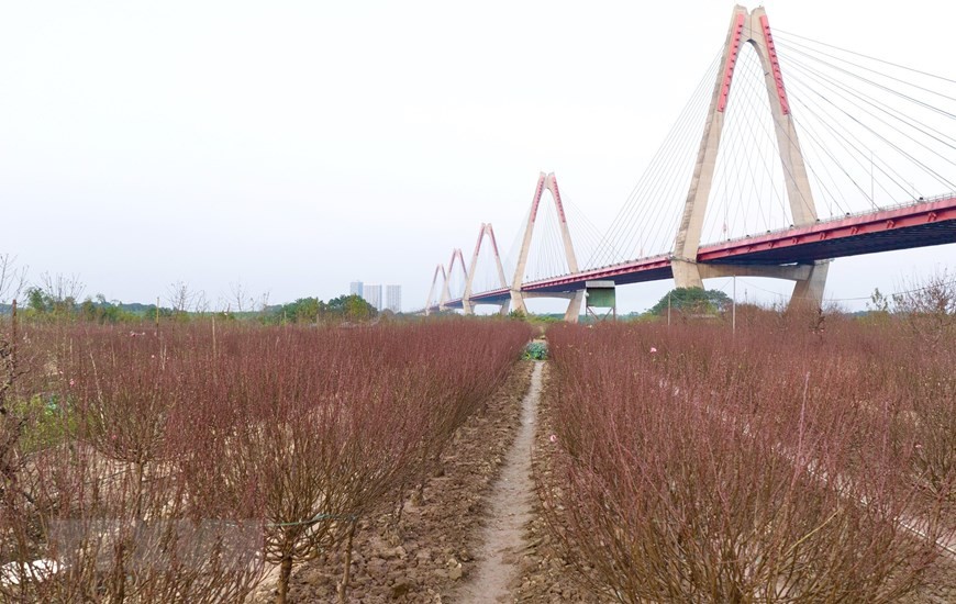 Dự báo thời tiết đêm nay và ngày mai (11-12/1): Hà Nội đêm trời rét, mưa nhỏ; Bắc Bộ, Bắc Trung Bộ rét về đêm và sáng, sương mù; cả nước có nắng Dự báo thời tiết đêm nay và ngày mai (11-12/1): Hà Nội đêm trời rét, mưa nhỏ; Bắc Bộ, Bắc Trung Bộ rét về đêm và sáng, sương mù; cả nước có nắng