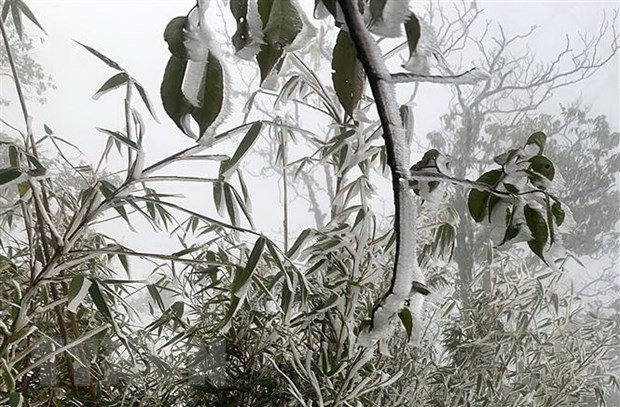 Tin dự báo không khí lạnh mạnh: Từ chiều và đêm 15-18/1, Bắc Bộ, Bắc Trung Bộ rét đậm, vùng núi rét hại; vùng núi cao có thể mưa tuyết và băng g