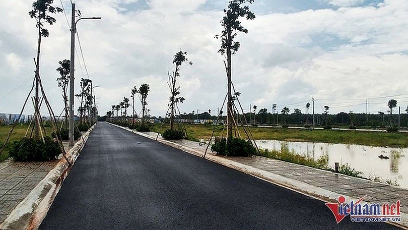 Giao dịch đất nền tại Bà Rịa - Vũng Tàu trong năm 2022 ở mức cao.