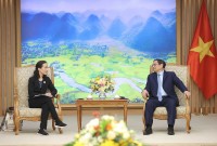 Thủ tướng tiếp Giám đốc chiến lược Chương trình của Liên minh Toàn cầu về vaccine và tiêm chủng