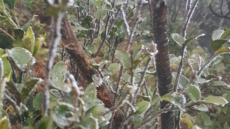 Đỉnh Mẫu Sơn nhiệt độ giảm tới - độ C và xuất hiện băng giá nhẹ