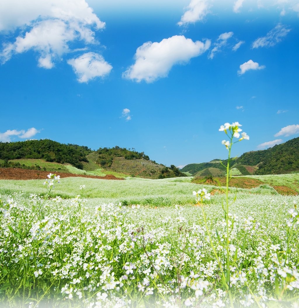 Du Xuân 2023: Những điểm đến không thể bỏ lỡ Du Xuân 2023: Những điểm đến không thể bỏ lỡ