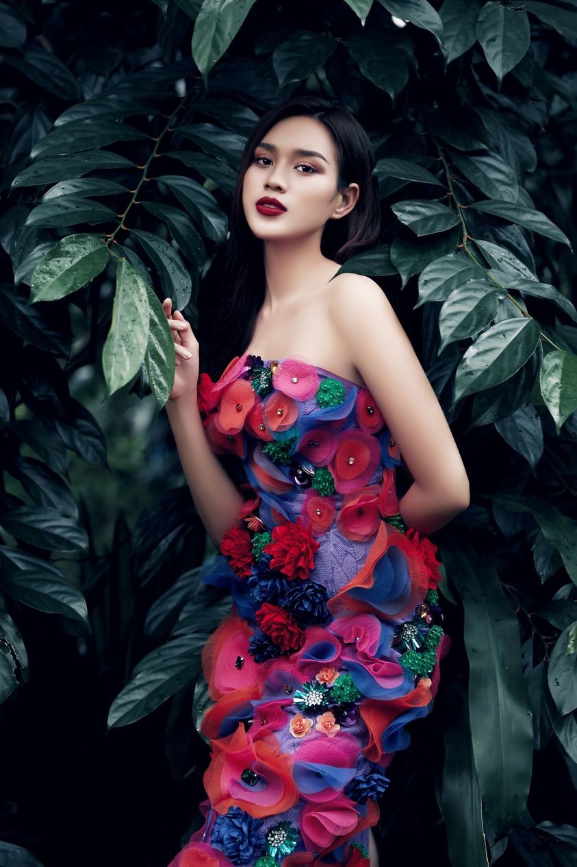 Đỗ Thị Hà Đỗ Thị Hà