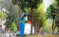 Những con người thầm lặng nỗ lực bảo đảm môi trường Thủ đô ngày Tết sạch đẹp