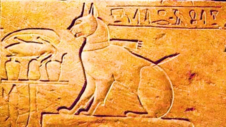 Quan niệm tôn thờ mèo của người Ai Cập cổ đại