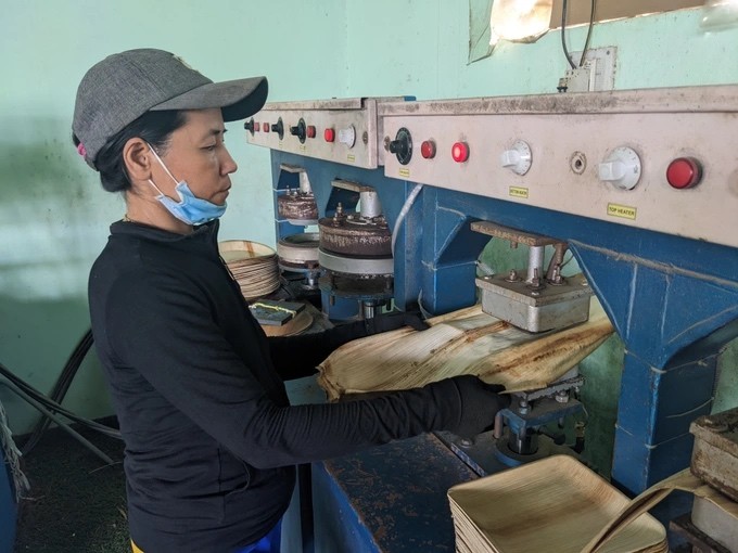 Mo cau được đưa vào máy ép nhiệt để tạo hình thành chén, đĩa, muỗng, khay đựng cơm. Mo cau được đưa vào máy ép nhiệt để tạo hình thành chén, đĩa, muỗng, khay đựng cơm.