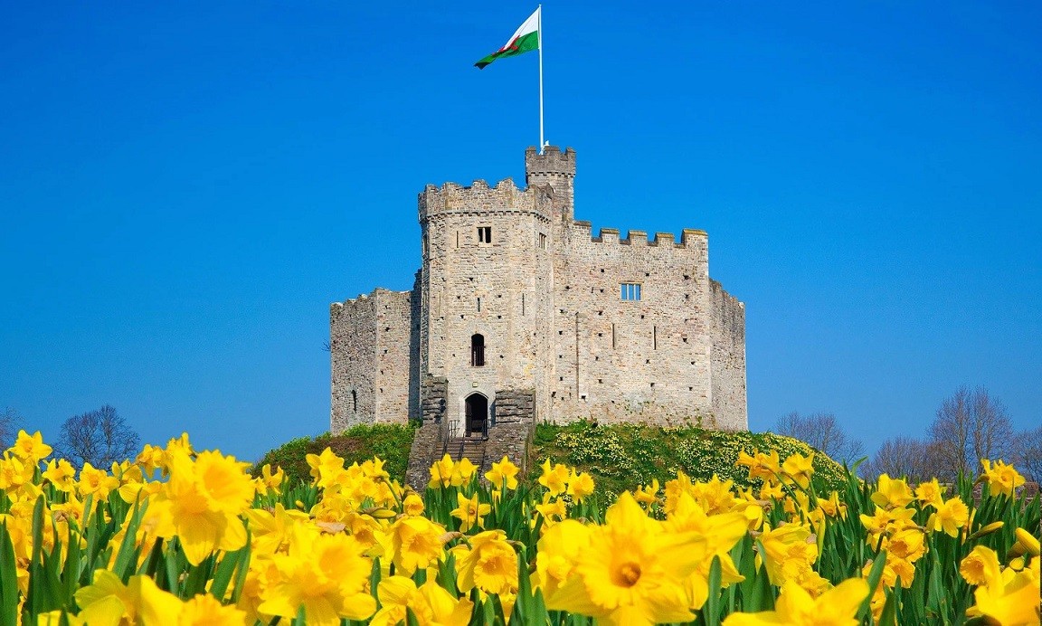 Du Xuân đến khắp thế giới