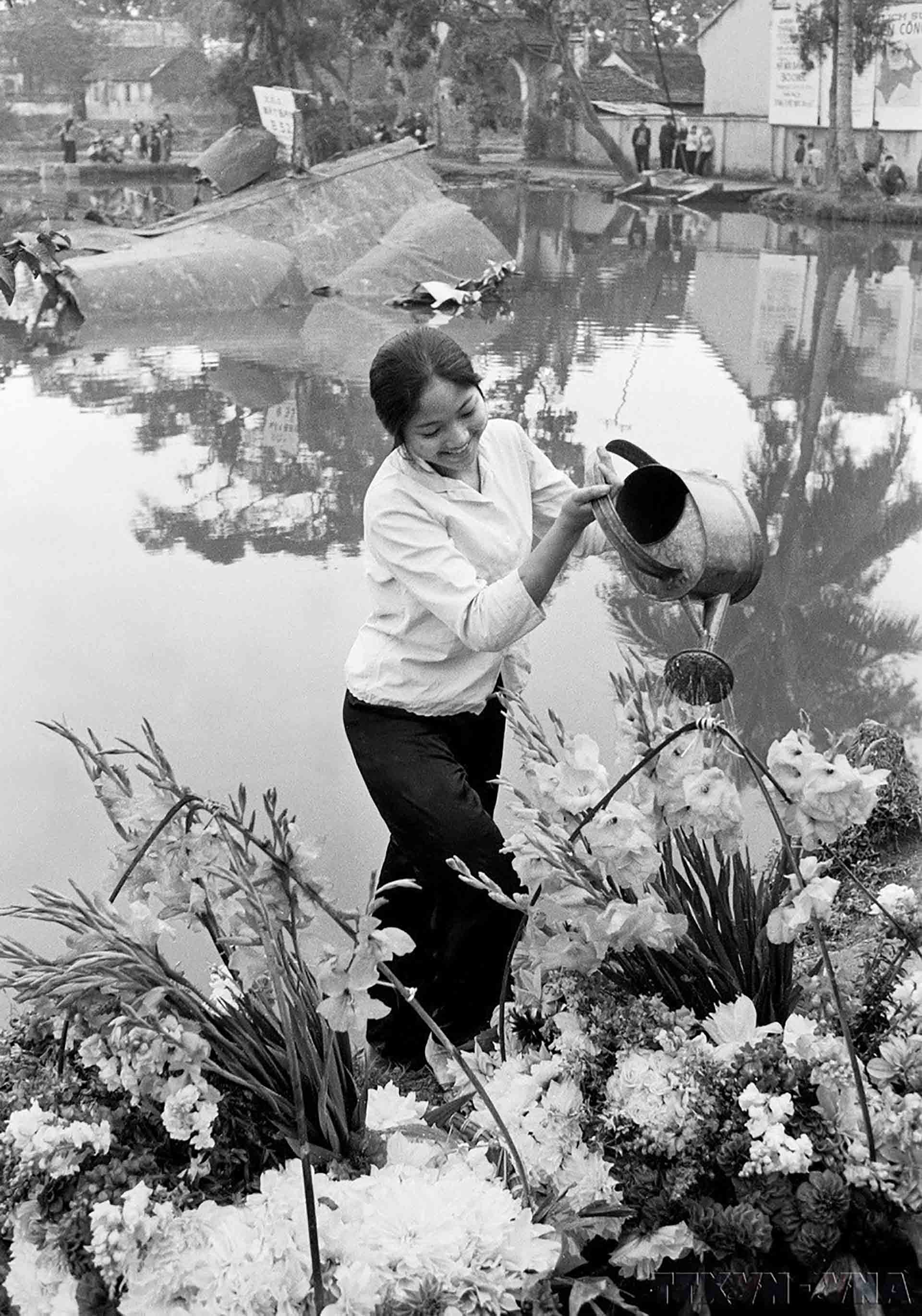 Thiếu nữ Làng hoa Ngọc Hà tưới hoa, đón mùa xuân Chiến thắng bên xác máy bay B-52 Mỹ vừa bị quân và dân Hà Nội bắn rơi, tháng 12/1972.