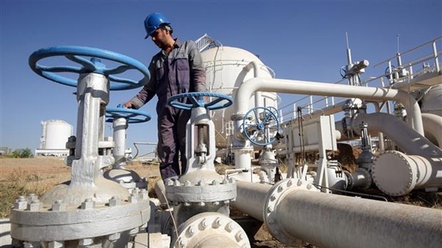 gia xang dau hom nay 239 tang nhe