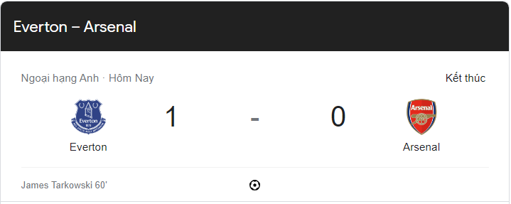 Link xem trực tiếp Arsenal vs Everton 19h30 ngày 4/2/2023 vòng 22 Ngoại hạng Anh