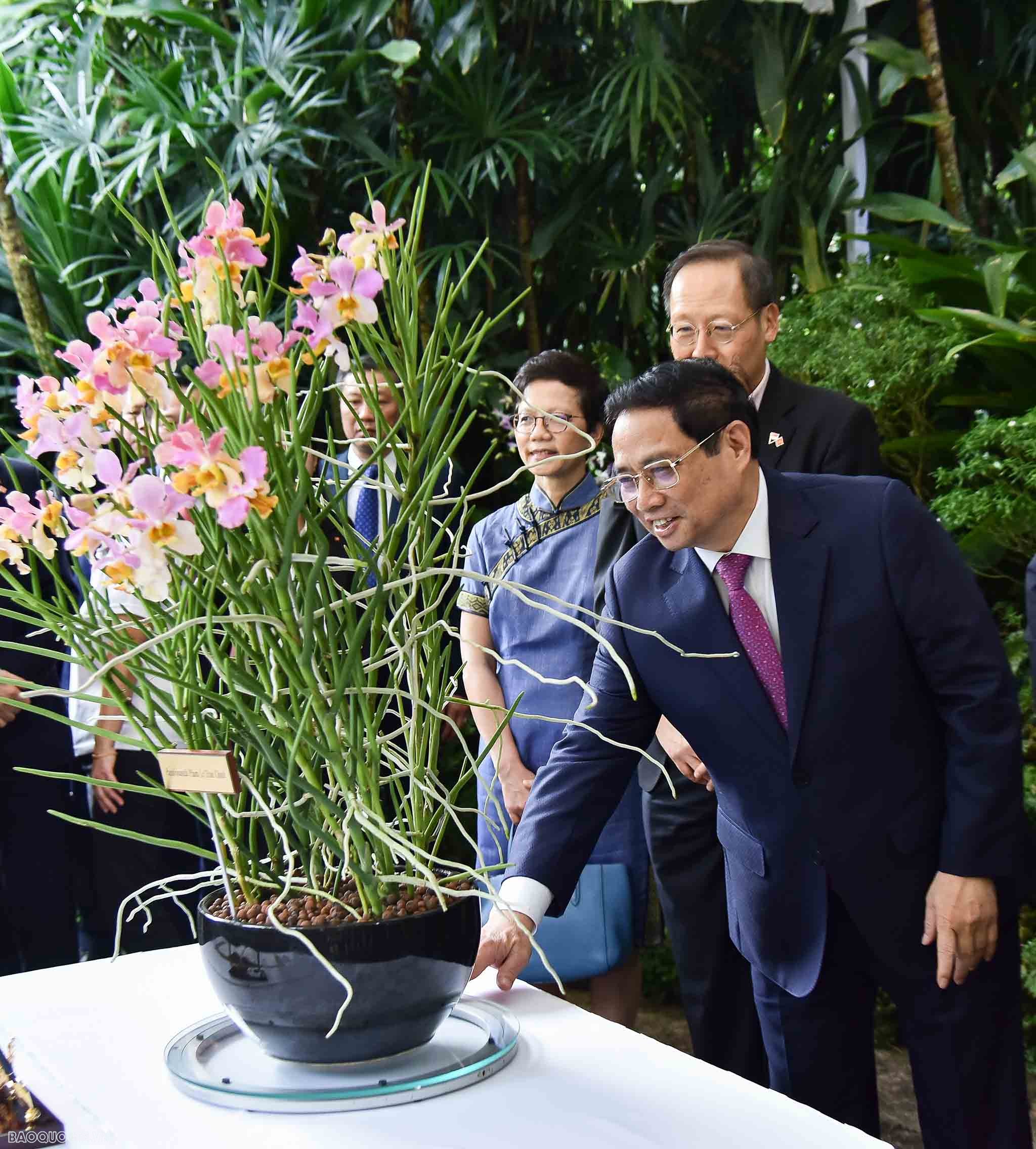 Việt Nam-singapore