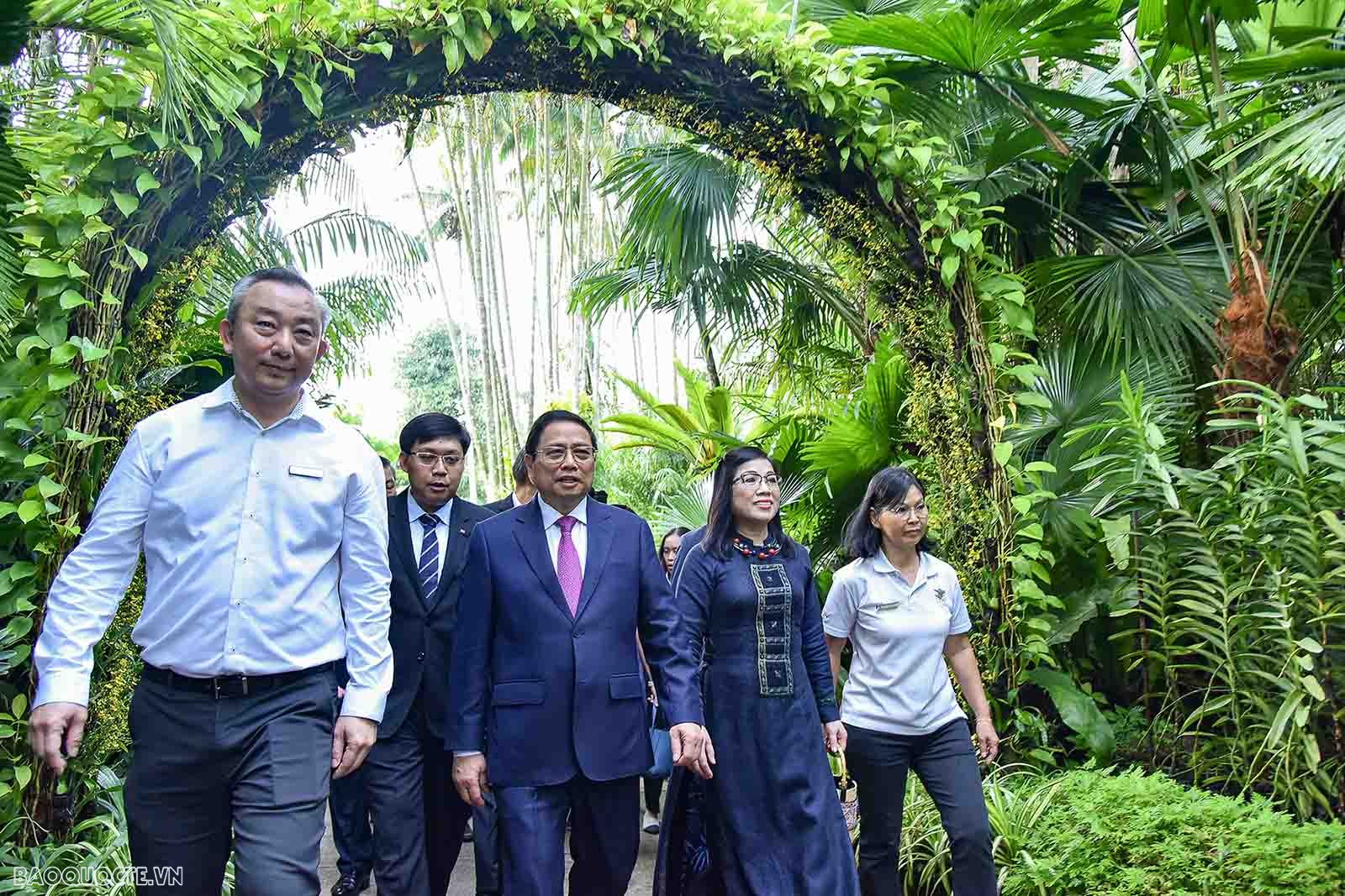 Việt Nam-singapore