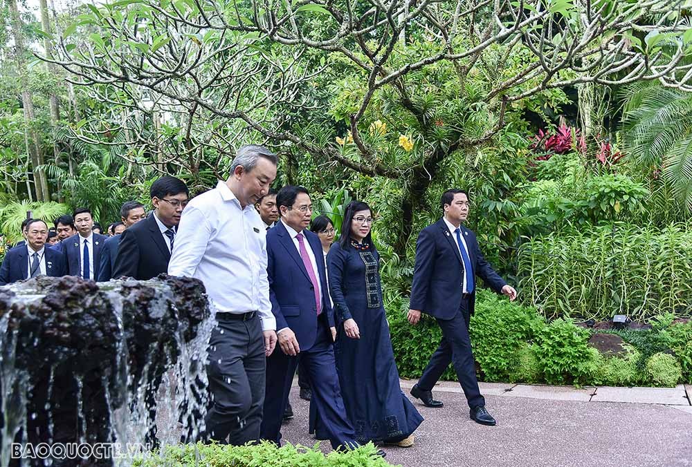 Việt Nam singapore