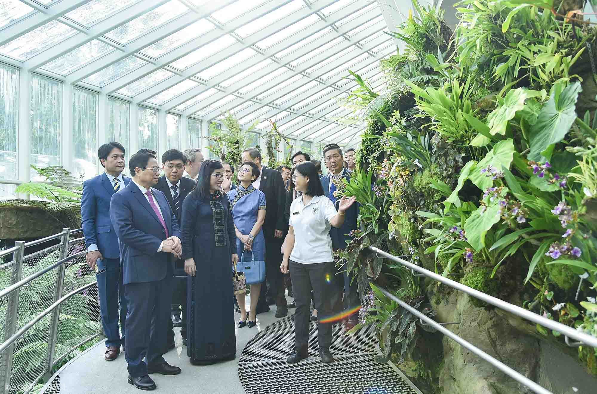 Việt Nam singapore