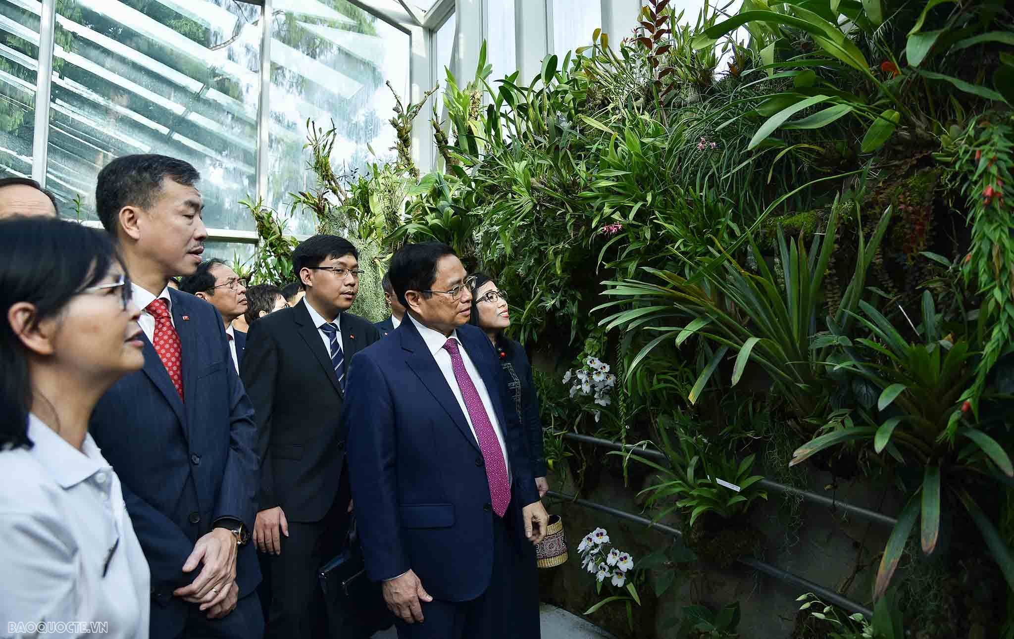 Việt Nam singapore