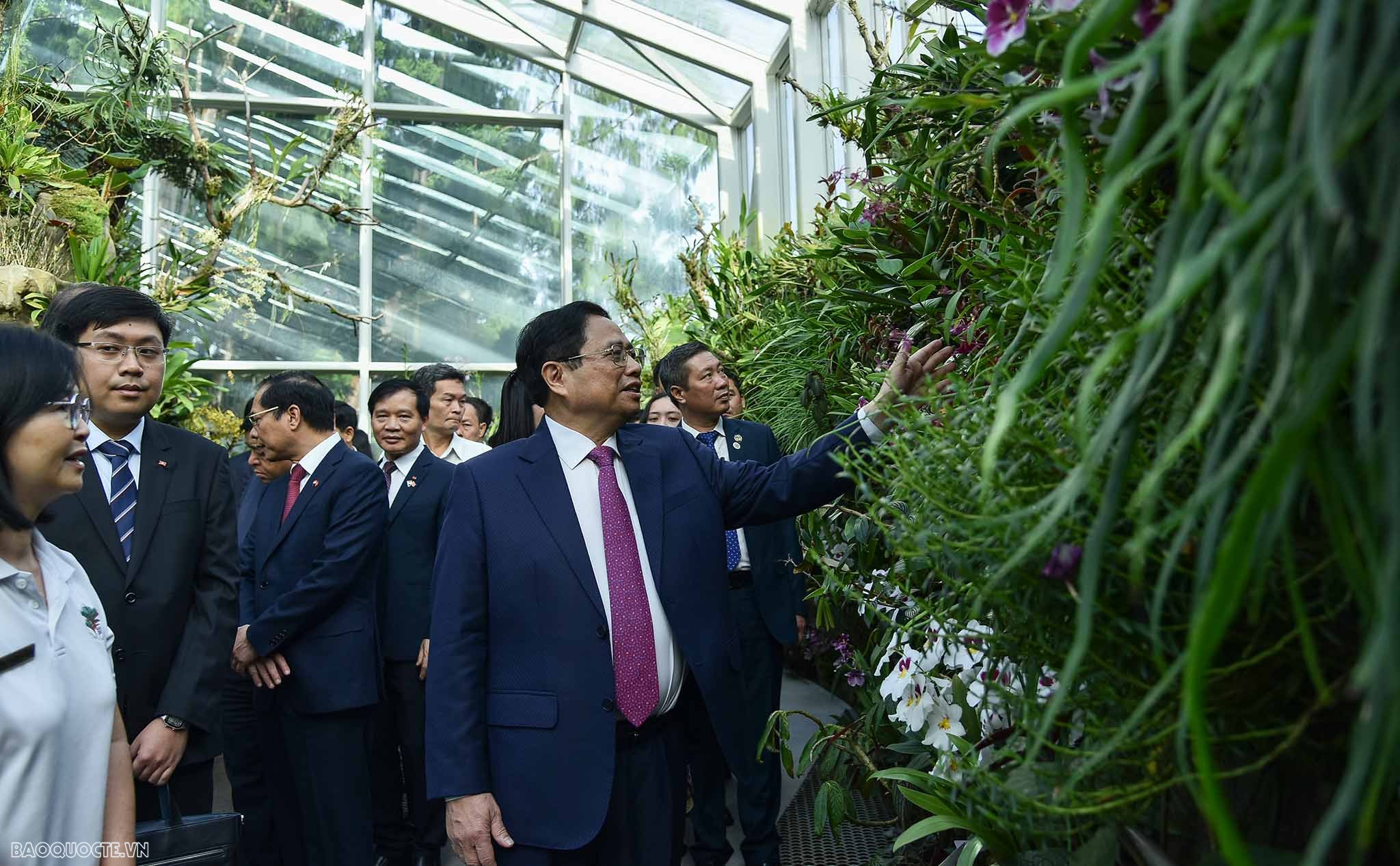 Việt Nam singapore