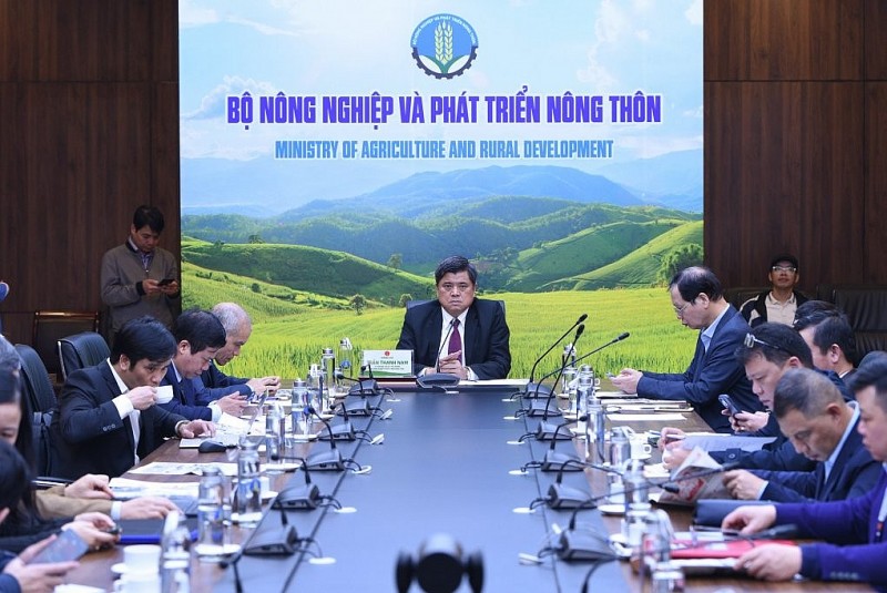 Xuất khẩu ngày 6-10/2: Xuất khẩu ngày 6-10/2: Khai thác tiềm năng khổng lồ từ thị trường Trung Quốc; dăm gỗ và viên nén gỗ được 'mùa bội thu'