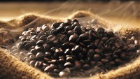 Giá cà phê hôm nay 18/2/2025: Giá cà phê arabica 'tụt dốc', robusta giảm phiên thứ ba liên tiếp, đều gì đang xảy ra?