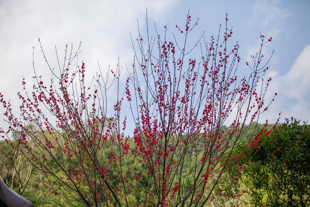 Hoạt động học tập thực tế theo tinh thần Chỉ thị số 05-CT/TW “Về đẩy mạnh học tập và làm theo tư tưởng đạo đức phong cách Hồ Chí Minh” tại Cao Bằng nh