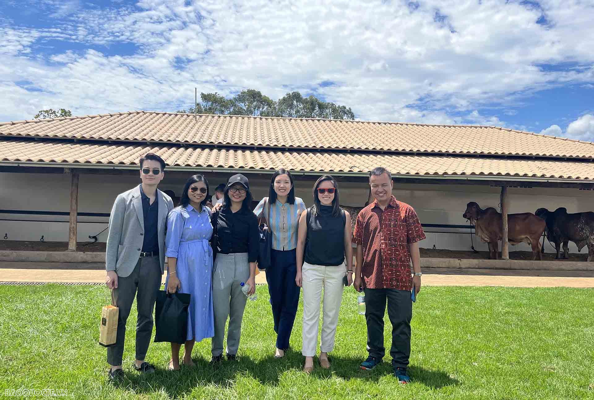 Các cán bộ ASEAN tại trang trại bò. Các cán bộ ASEAN tại trang trại bò.