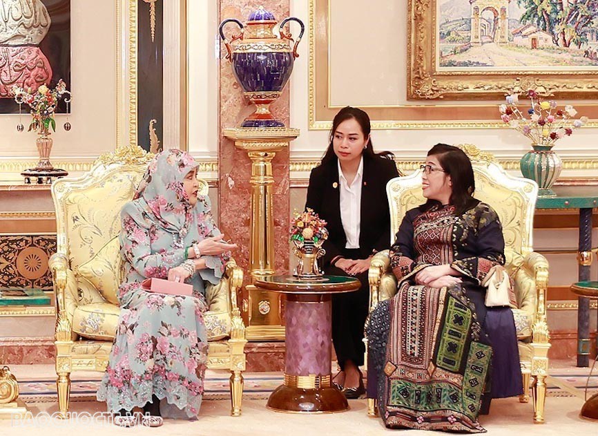 Bà Lê Thị Bích Trân tìm hiểu lịch sử, văn hoá và thăm nơi giúp đỡ trẻ em khuyết tật ở Singapore và Brunei