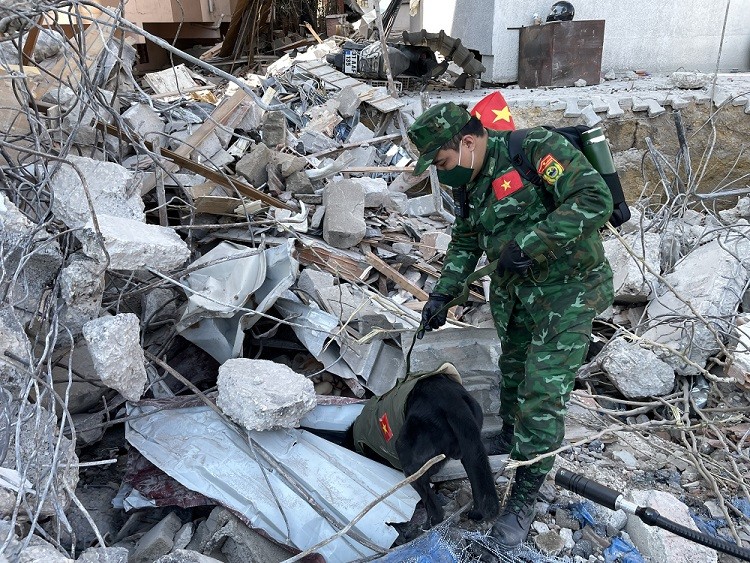 (02.14) Các chú chó nghiệp vụ cũng được huy động để tìm kiếm những nạn nhân còn sót lại trong đống đổ nát. (Nguồn: QPVN) (02.14) Các chú chó nghiệp vụ cũng được huy động để tìm kiếm những nạn nhân còn sót lại trong đống đổ nát. (Nguồn: QPVN)
