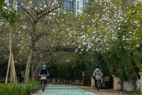 Dự báo thời tiết đêm nay và ngày mai (15-16/2): Hà Nội, Bắc Bộ, Bắc Trung Bộ trời rét, mưa vài nơi; Nam Bộ nắng nóng