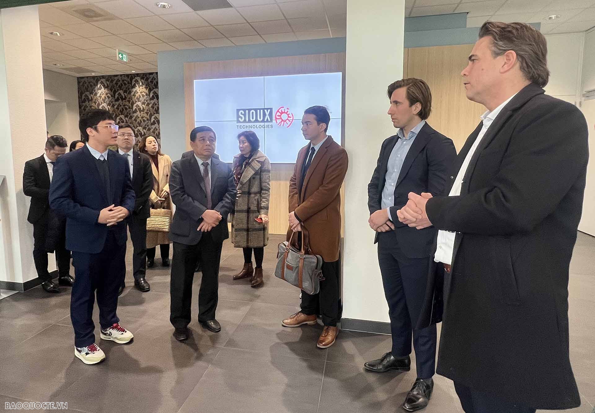 Việt Nam-Hà Lan: Thúc đẩy hợp tác về đổi mới sáng tạo và nông nghiệp sáng tạo