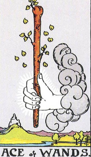 Bói bài tarot hàng ngày: Bạn có gặp may mắn trong tháng 3 không? Bói bài tarot hàng ngày: