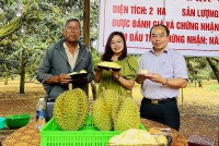 Xuất khẩu ngày 27/2-3/3: Thêm 230 mã số vùng trồng sầu riêng được Trung Quốc cấp phép; xuất khẩu thủy sản bật tăng mạnh mẽ