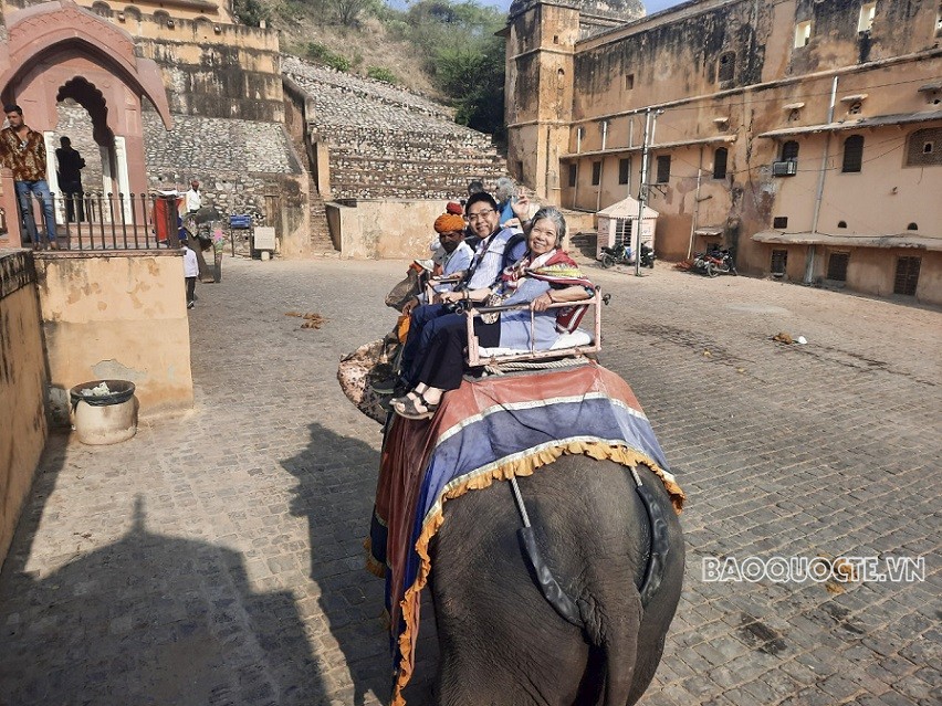 Du khách Việt và trải nghiệm cưỡi voi ngắm cảnh ở Ấn Độ