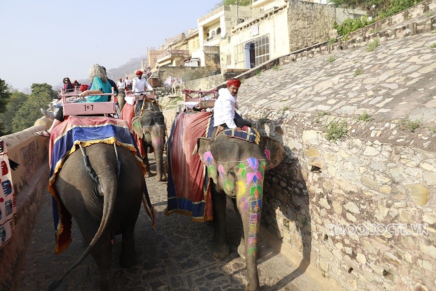 Du khách Việt và trải nghiệm cưỡi voi ngắm cảnh ở Ấn Độ