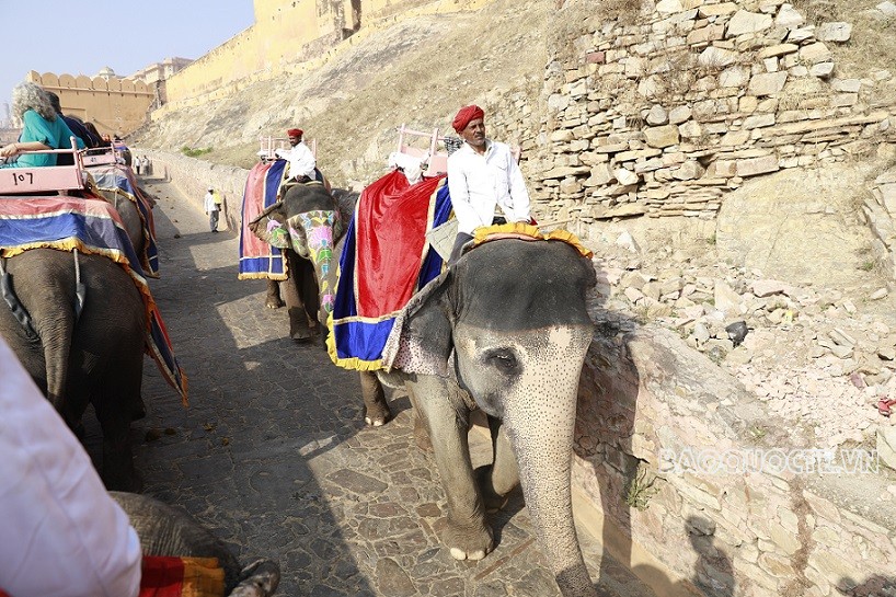 Du khách Việt và trải nghiệm cưỡi voi ngắm cảnh ở Ấn Độ