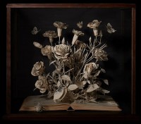 Vẻ đẹp tinh tế của những tác phẩm tạo thành từ sách cũ