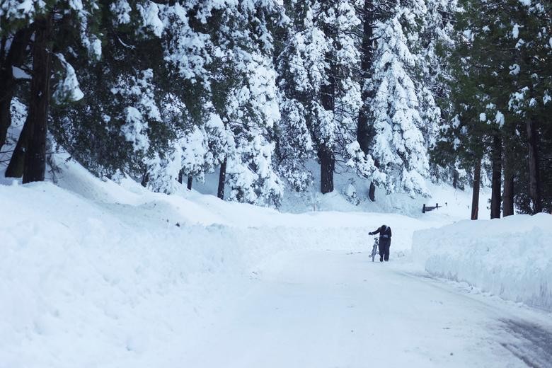 Cảnh tuyết rơi trắng xóa hiếm hoi ở California Cảnh tuyết rơi trắng xóa hiếm hoi ở California