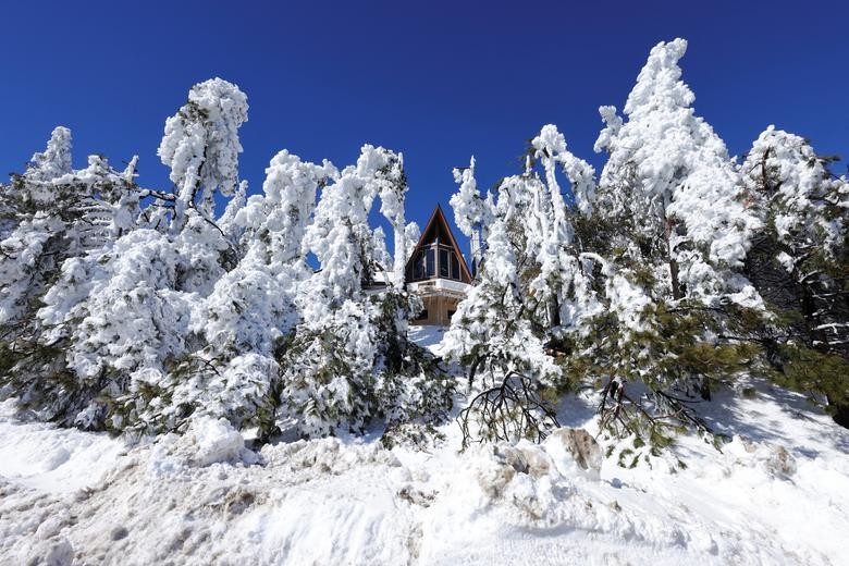 Cảnh tuyết rơi trắng xóa hiếm hoi ở California Cảnh tuyết rơi trắng xóa hiếm hoi ở California