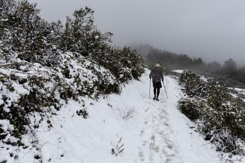 Cảnh tuyết rơi trắng xóa hiếm hoi ở California Cảnh tuyết rơi trắng xóa hiếm hoi ở California