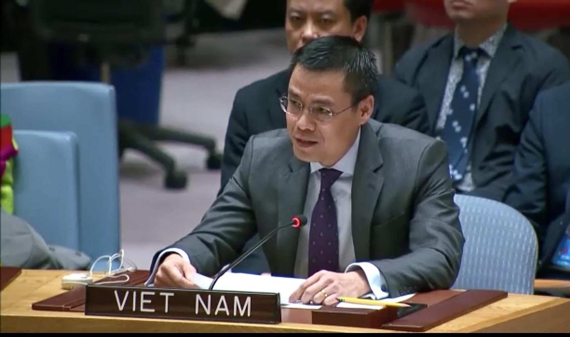 Đại sứ Đặng Hoàng Giang phát biểu tại phiên thảo luận.