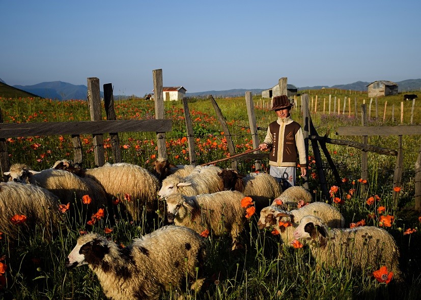 Khám phá xứ sở 'nghìn lẻ một đêm' Iran huyền diệu với những di sản đồ sộ (Phần 2)