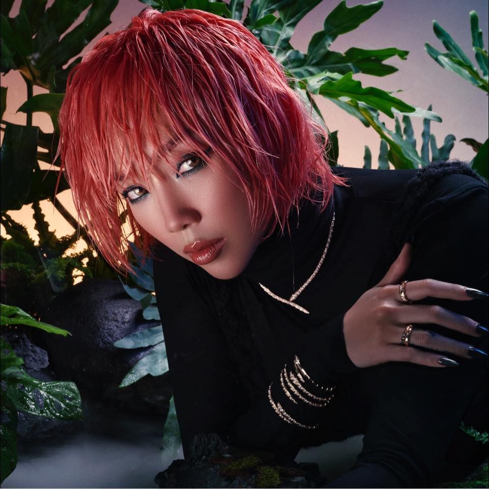 Sao Việt Sao Việt