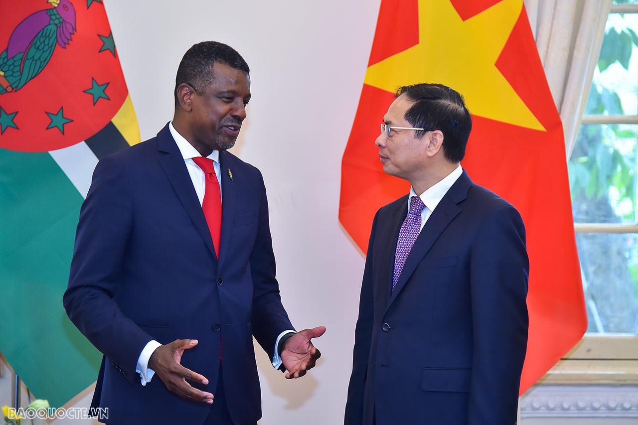 Dominica thành lập Tổng Lãnh sự quán vào tháng 12/2017 tại Thành phố Hồ Chí Minh. 