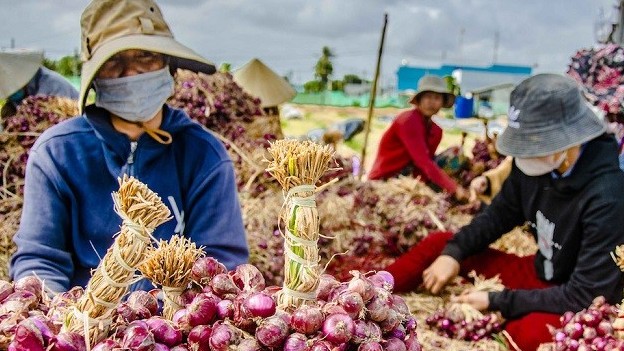 xuat khau ngay 17193 trung quoc nhap so luong khung hanh he toi viet nam xuat khau sang mot so thi truong asean bat tang