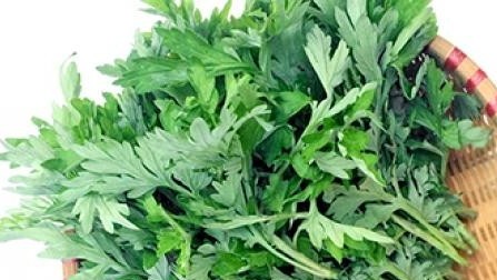 Bài thuốc chữa cảm lạnh và một số bệnh bằng cách ngâm chân với nước ngải cứu