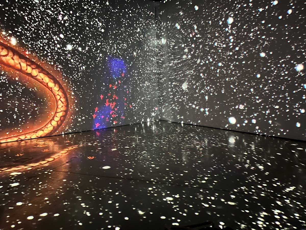 Đi khắp lục địa Australia với Triển lãm Bước qua một khúc đường ca