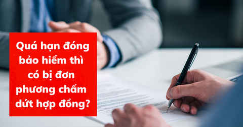 Video tiền vệ MU Casemiro: Kỹ năng phòng ngự, pha tắc bóng và bàn thắng