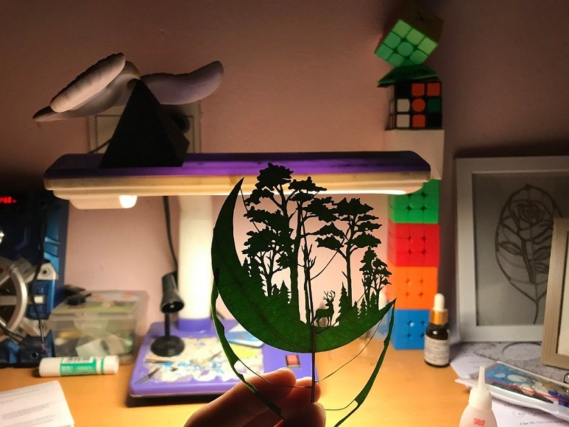 Một học sinh Việt Nam gây bất ngờ khi sáng tạo nghệ thuật từ những chiếc lá