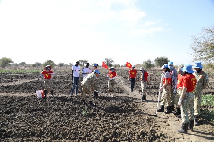 Chi hội phụ nữ và Đoàn thanh niên Đội Công binh số 1 Việt Nam phối hợp hướng dẫn người dân bản địa trồng rau xanh cải thiện cuộc sống
