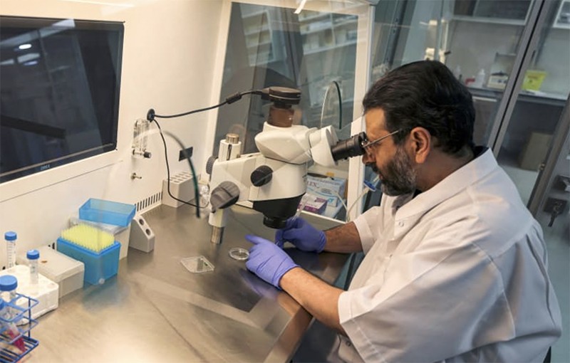 Nhân bản lạc đà: Nghề hot tại Trung Đông