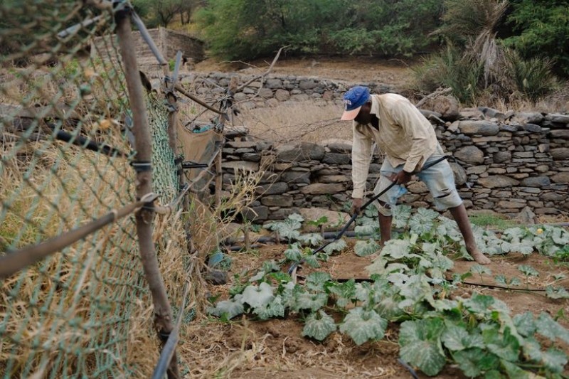Đổi nợ lấy thỏa thuận khí hậu - Mô hình tham khảo với nhiều quốc gia