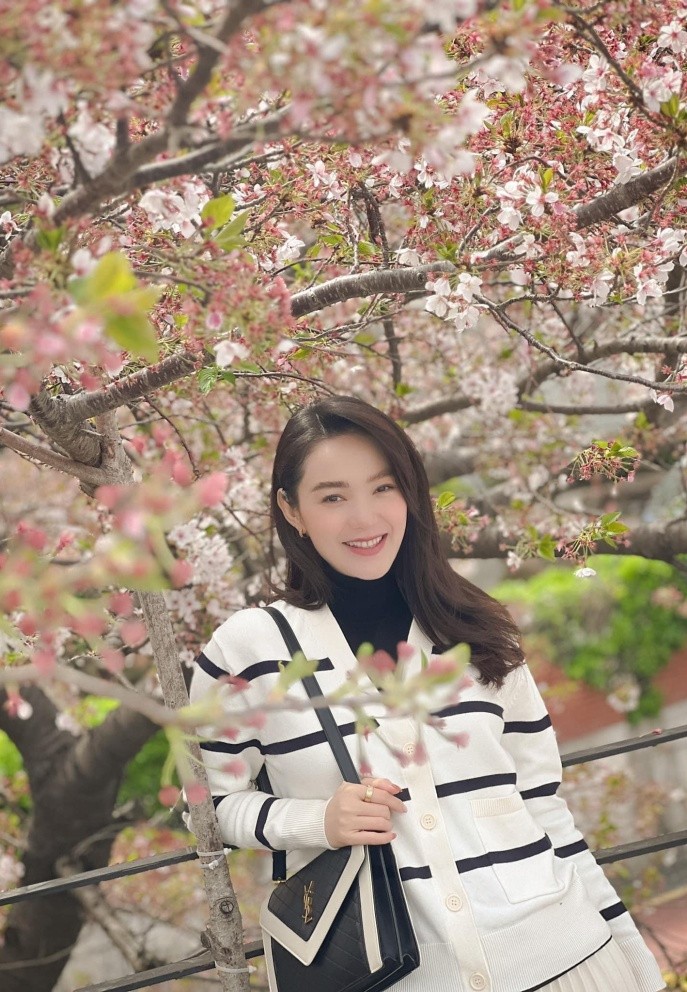 Sao Việt: Hồng Diễm